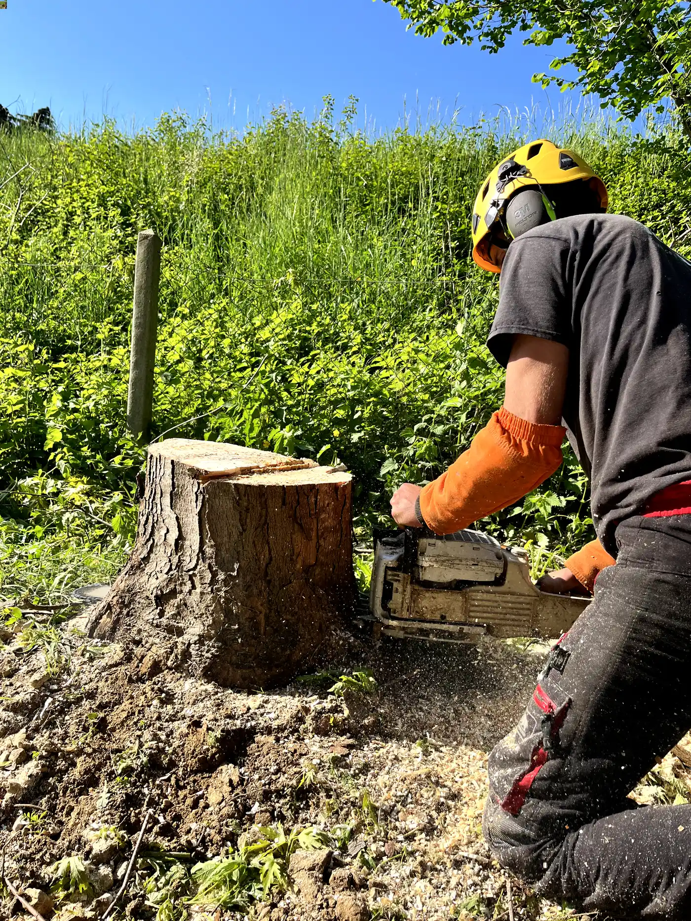 Paysagiste qui découche un arbre
