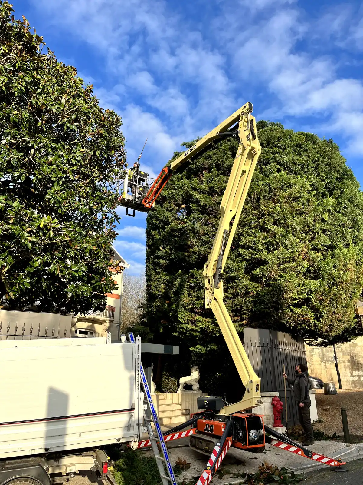Elagage d'un arbre par un paysagiste en Dordogne