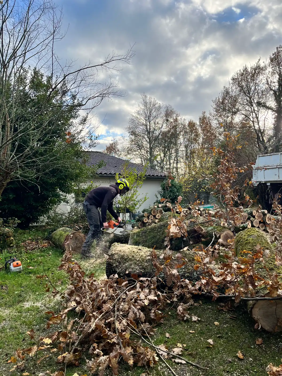 Elagage d'un arbre par un paysagiste en Dordogne
