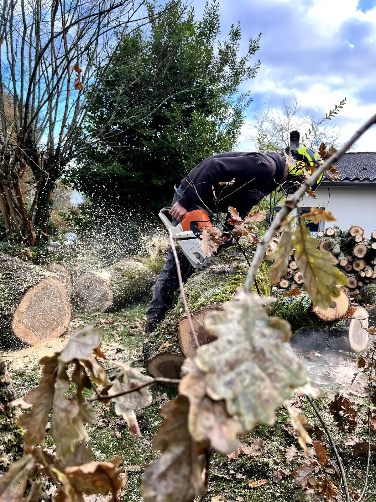 Elagage d'un arbre par un paysagiste en Dordogne