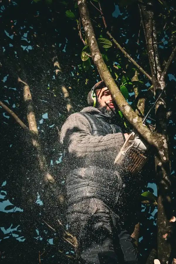 Paysagiste qui taille un arbre en Dordogne