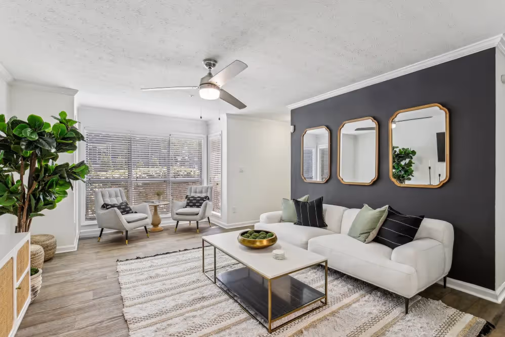 Fully furnished living room 