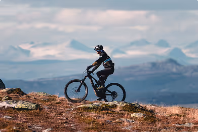 Übersicht verschiedener Fahrradkategorien – Mountain, Kinder, E-Cargobike, Speed Pedelec.