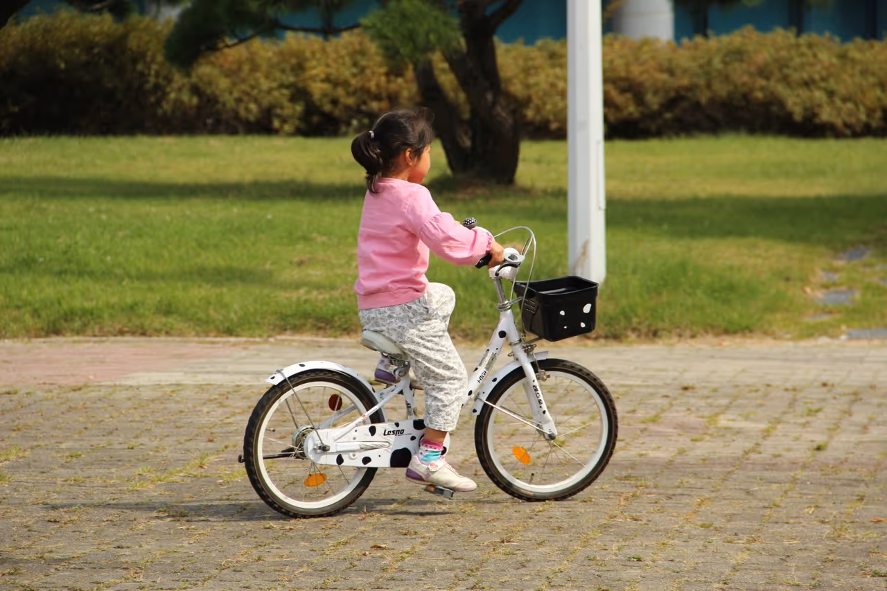 Übersicht verschiedener Fahrradkategorien – Mountain, Kinder, E-Cargobike, Speed Pedelec.
