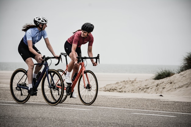 Blog-Karten mit Artikeln zu Bike-Wartung, Testfahrten und Lifestyle.
