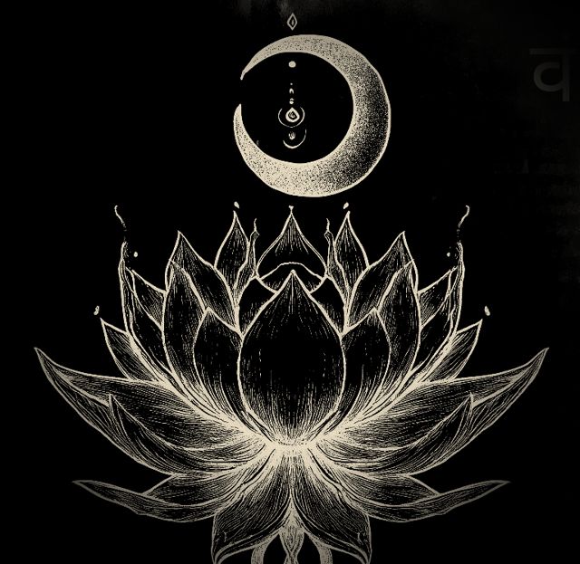 Ink drawing of a lotus beneath a crescent moon