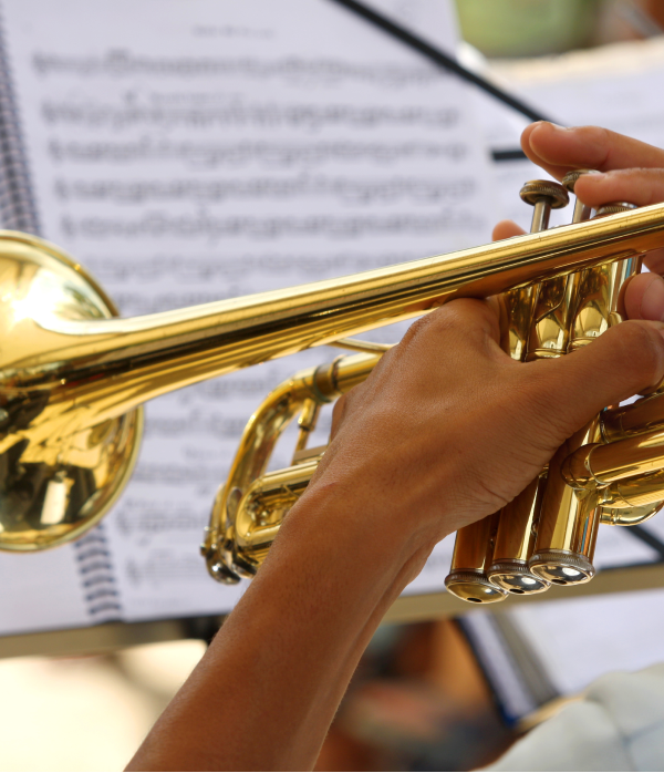 Serenade - Webflow Template