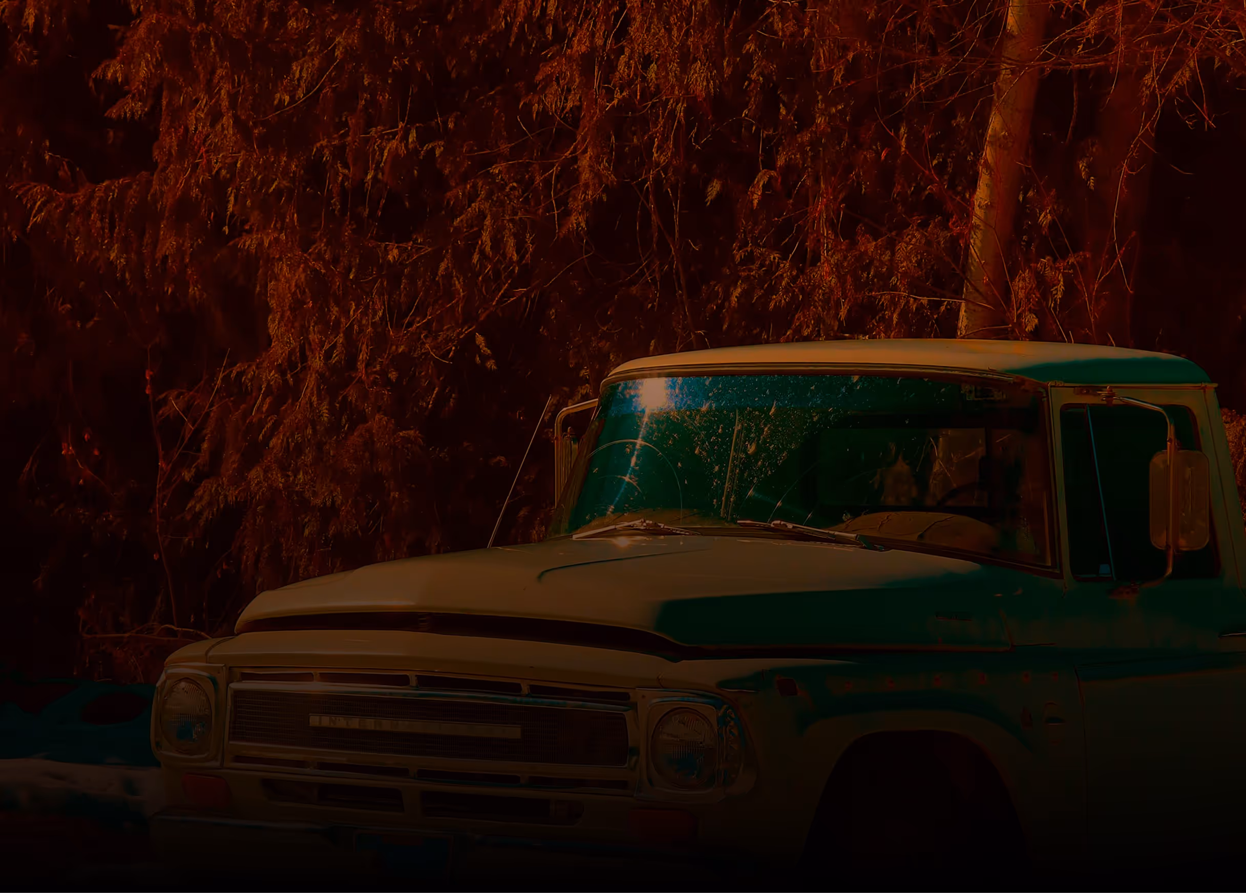 Front of a vintage light-colored truck parked in front of dense trees with autumn foliage.
