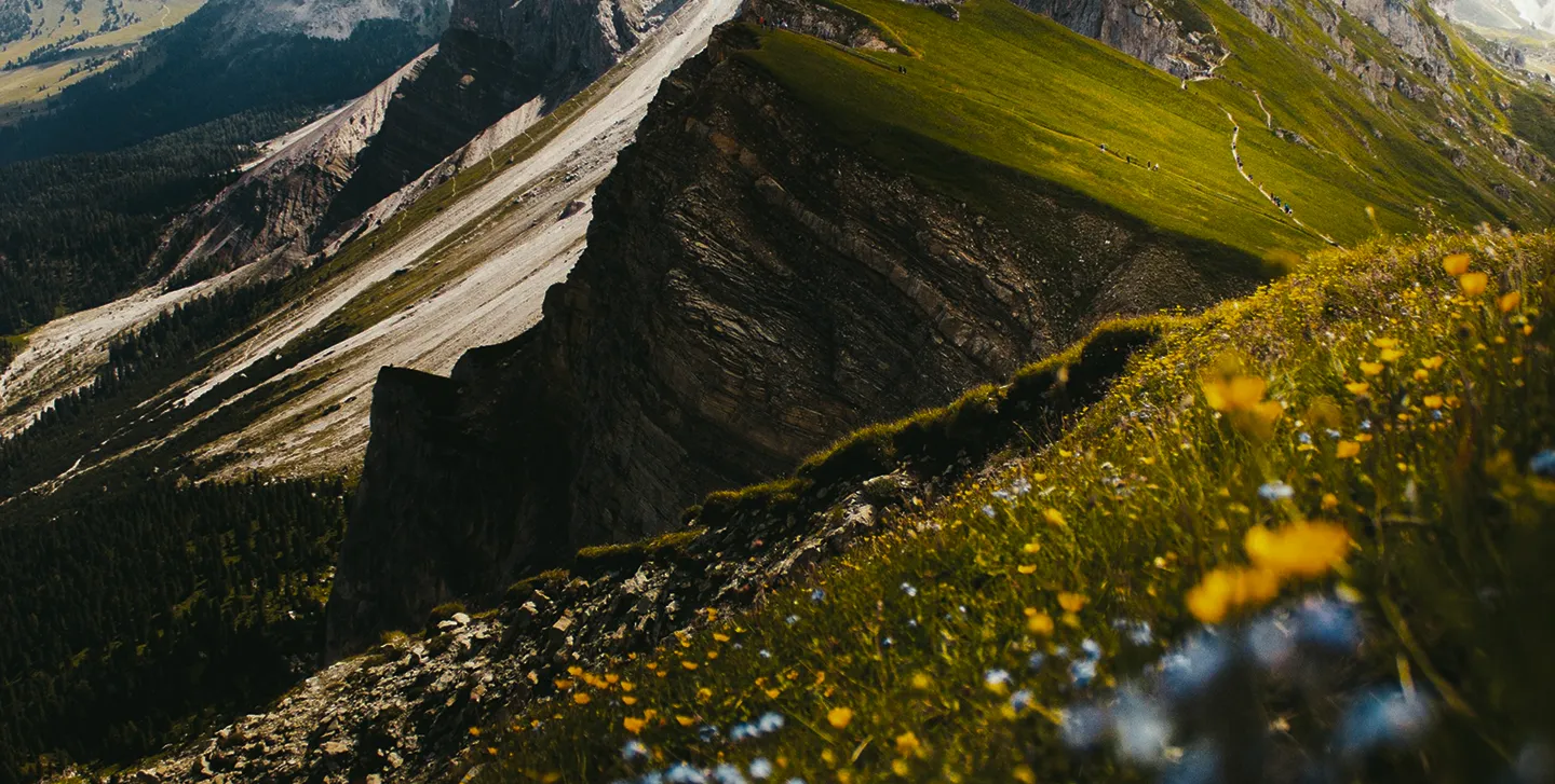 Sloped mountain landscape with green grassy areas, rocky cliffs, and wildflowers in the foreground.