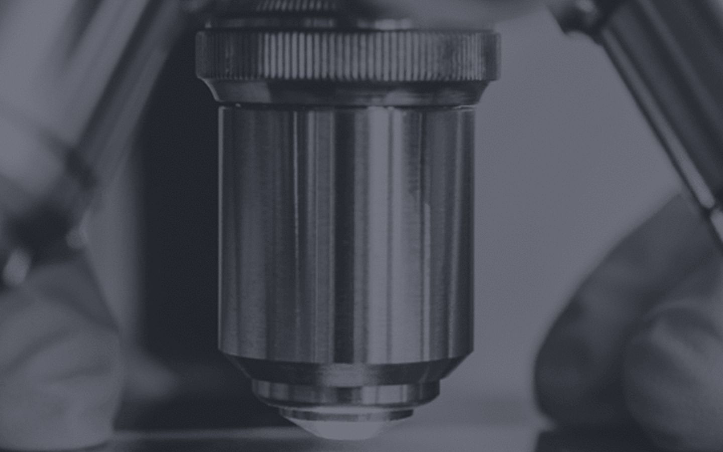 Kiandra logo on dark background variant 4