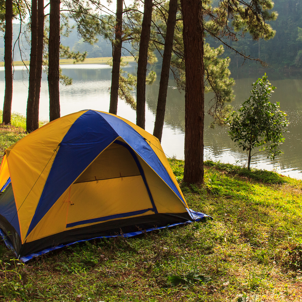 image of food truck location