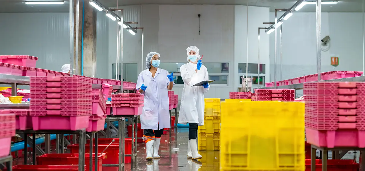 ¿Qué tipo de detergente es mejor para plantas de alimentos?