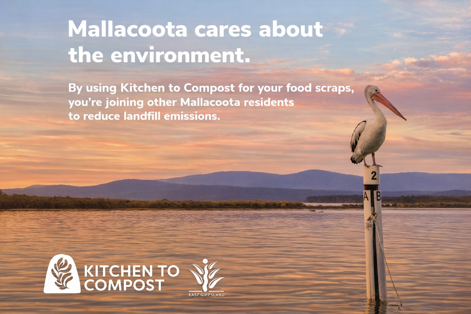 A pelican sits atop a pole off the coast of Mallacoota. The text around the bird reads: "Mallacoota cares about the enivironment. By using Kitchen to Compost for your food scraps you're joining other Mallacoota residents to reduce landfill emissions. 