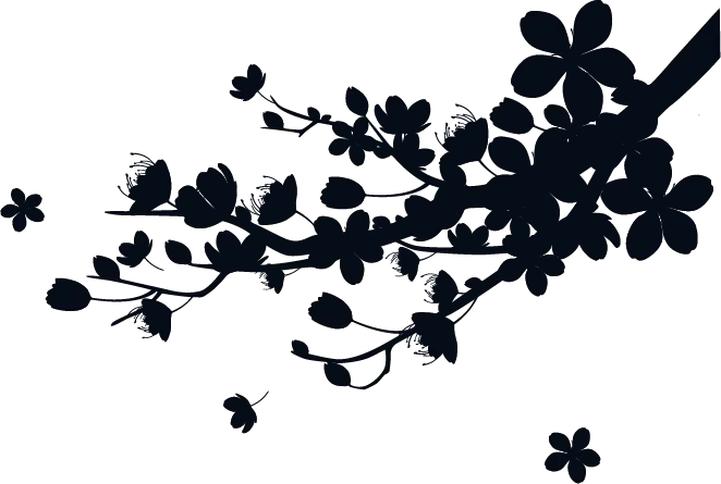 background cherry blossoms