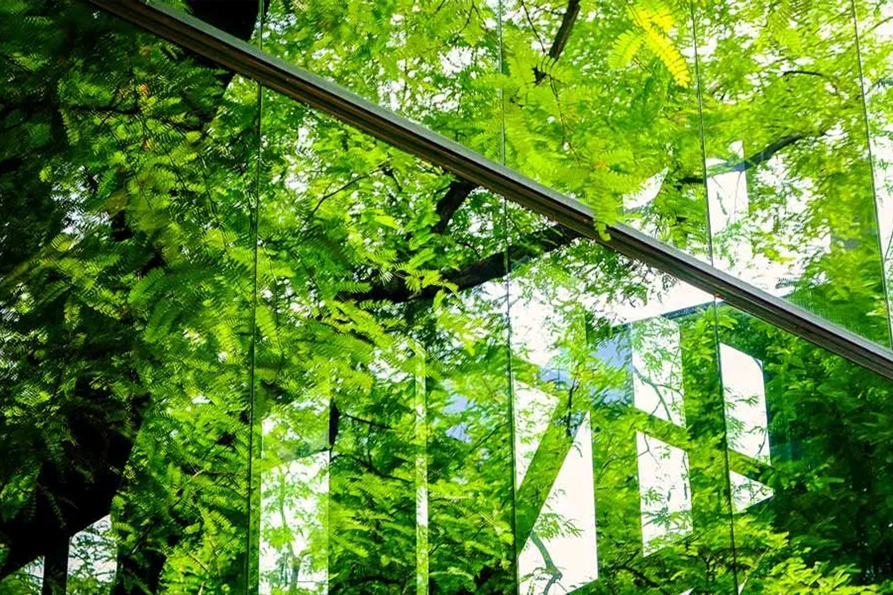 Visual representing a blog article authored by Ramona Albert.