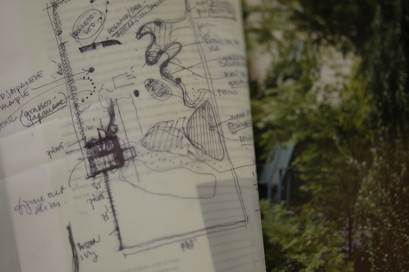 Visual representing a blog article authored by Ramona Albert.