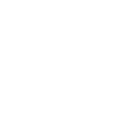 INTERPOL emblem featuring a globe, sword, olive branches, and scales of justice.