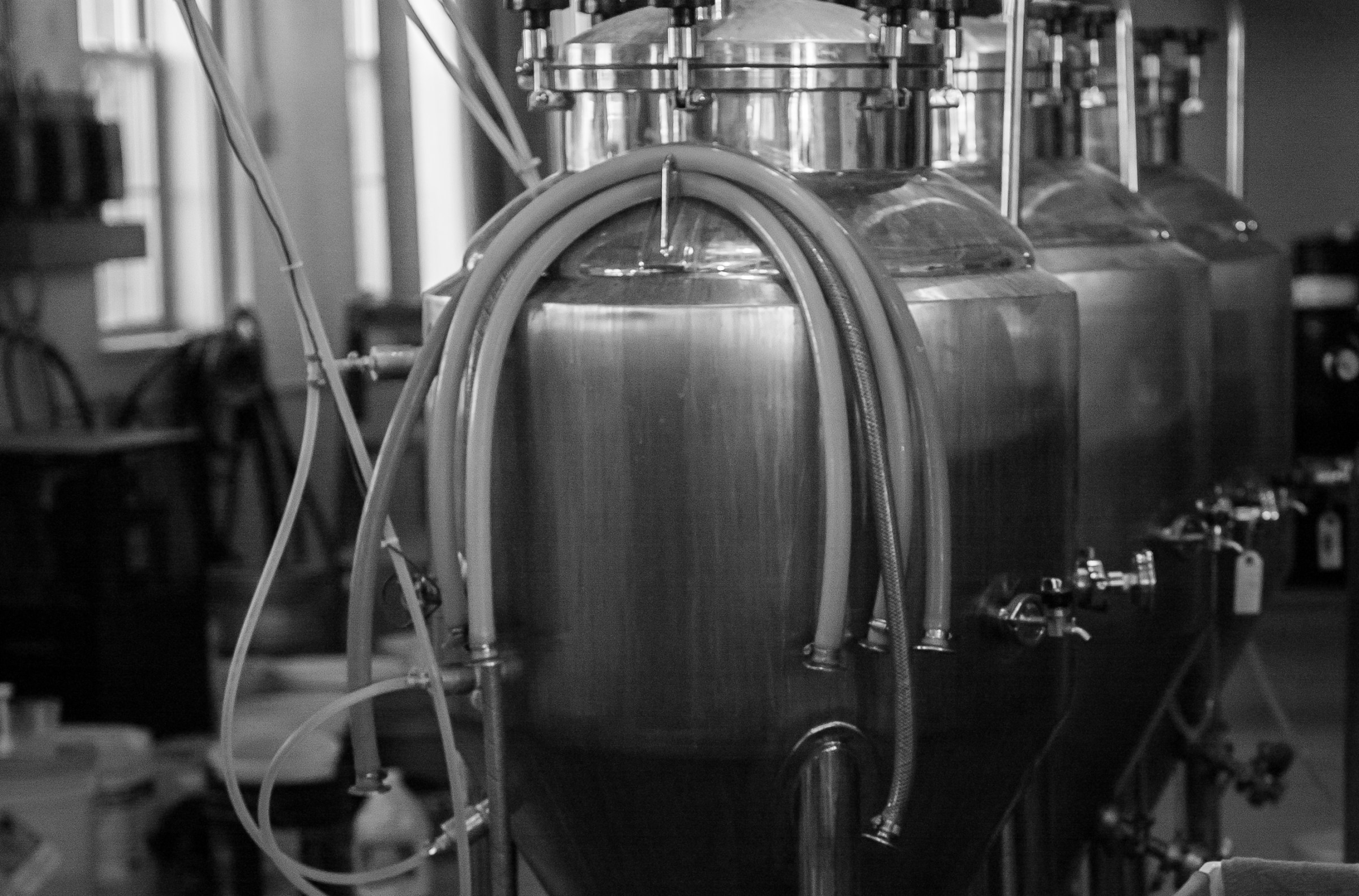 Gentile Brewing