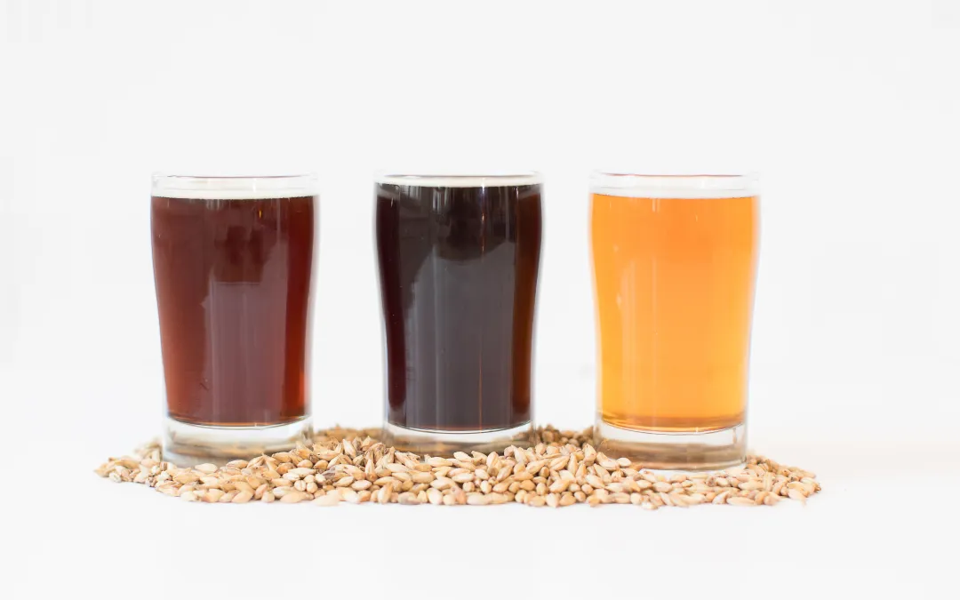 From grain to glass: the Gentile Brewing philosophy