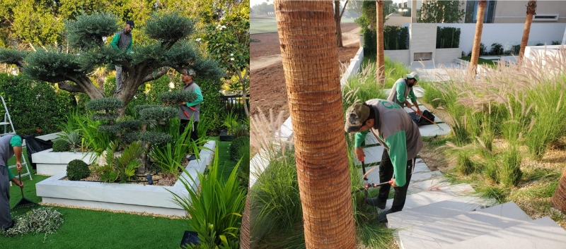 Annual pool and garden maintenance service