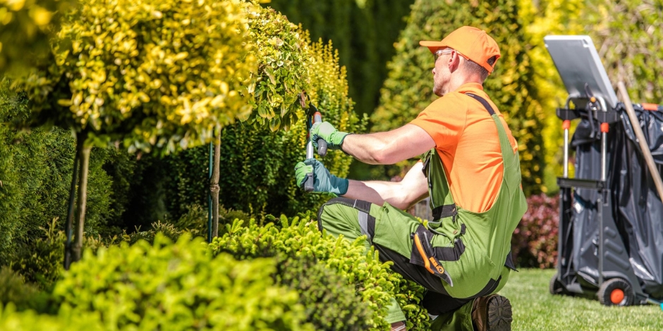 Elevate Your Dubai Garden with Expert Maintenance Solutions