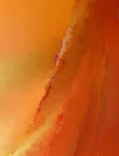 Process Image