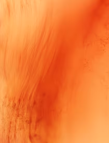 Process Image