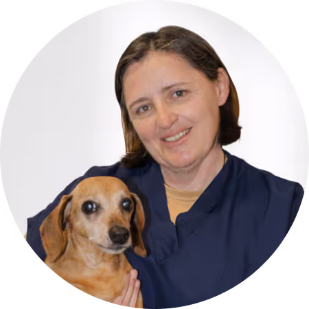PH: Microchip special promotional image placeholder