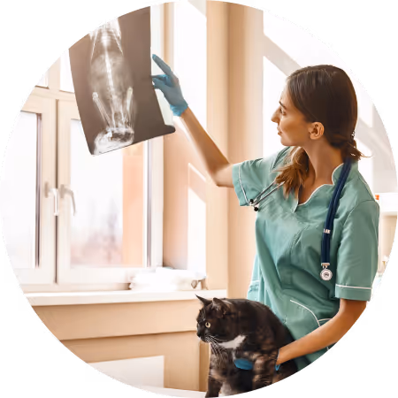 Cute puppy being held gently - check back soon for our next special offer