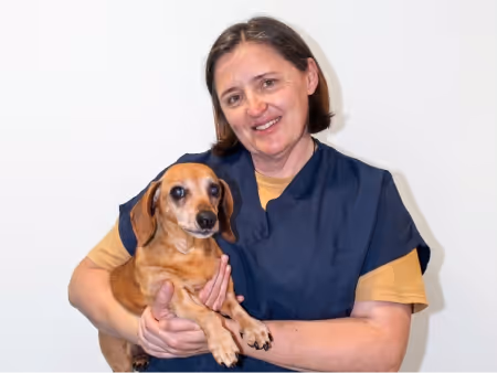 Smiling woman in navy blue scrubs holding a small brown dog against a white background at Citivet to show help you can trust because of the experienced veterinarians