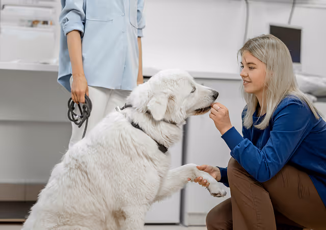 Flexible payment options