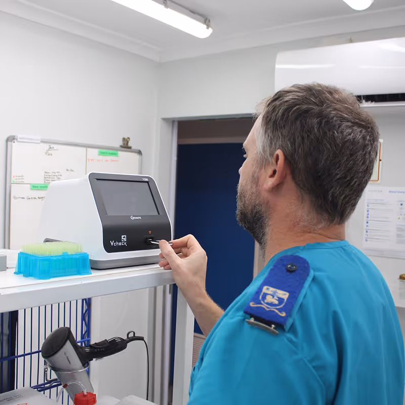 Man in a teal uniform operating a VCheck analyzer machine in a laboratory setting, at citivet