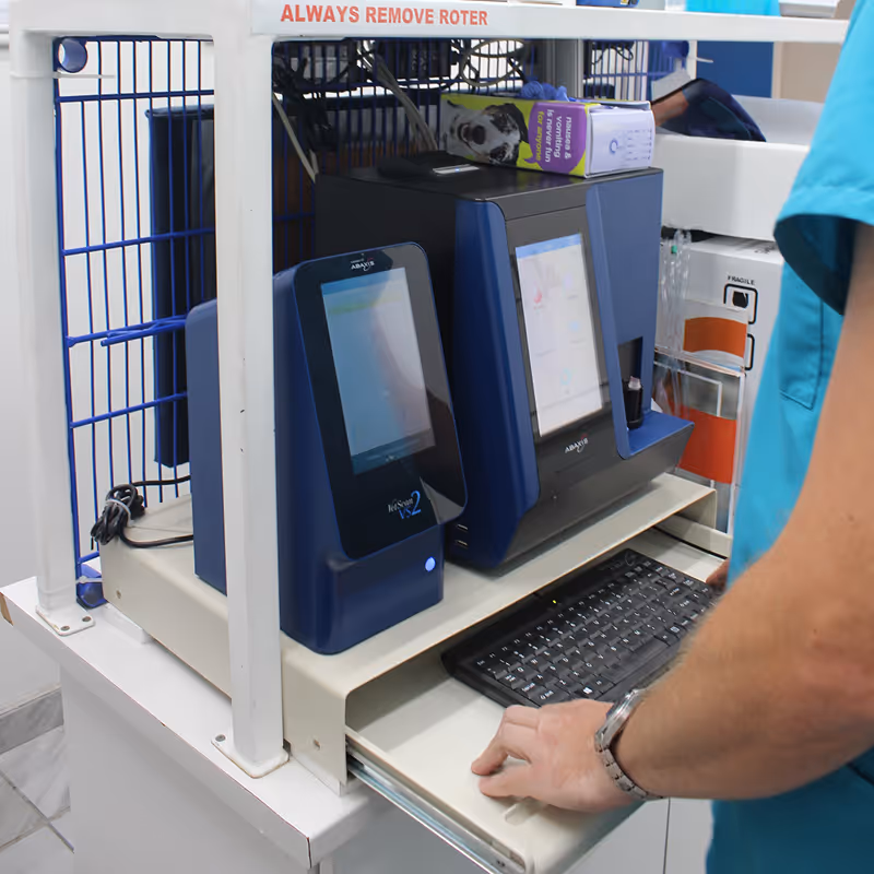 Veterinary technician in blue scrubs operating Abaxis VetScan analyzer machines on a lab cart with a keyboard drawer, at citivet.