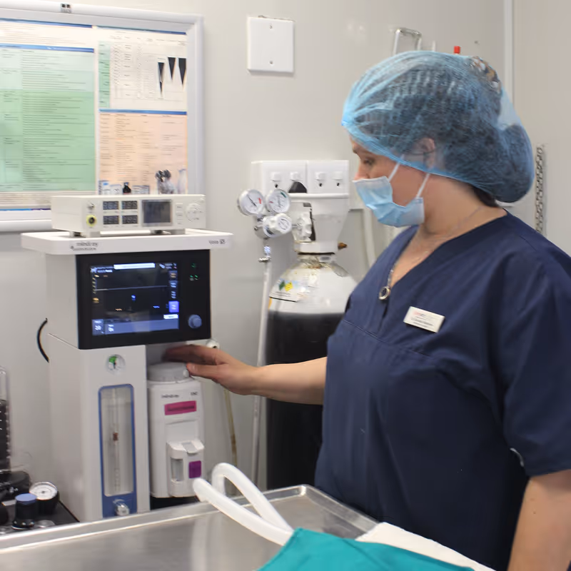 Healthcare professional in scrubs and a surgical cap operating an anaesthetic machine in a clinical setting at citivet bothasig