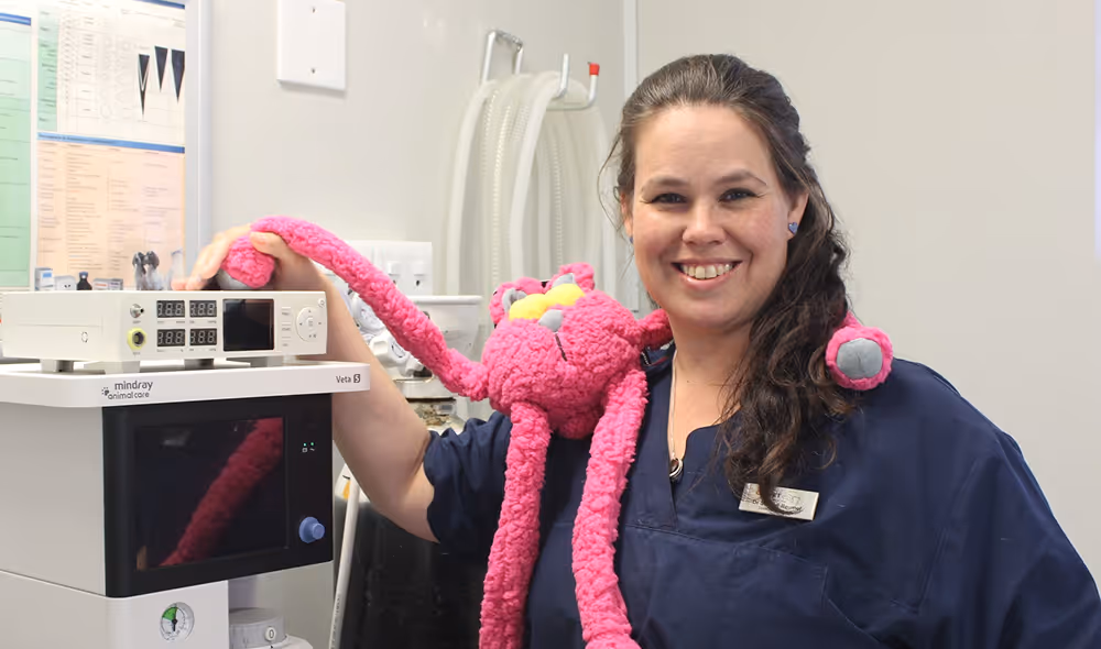 Flexible payment options