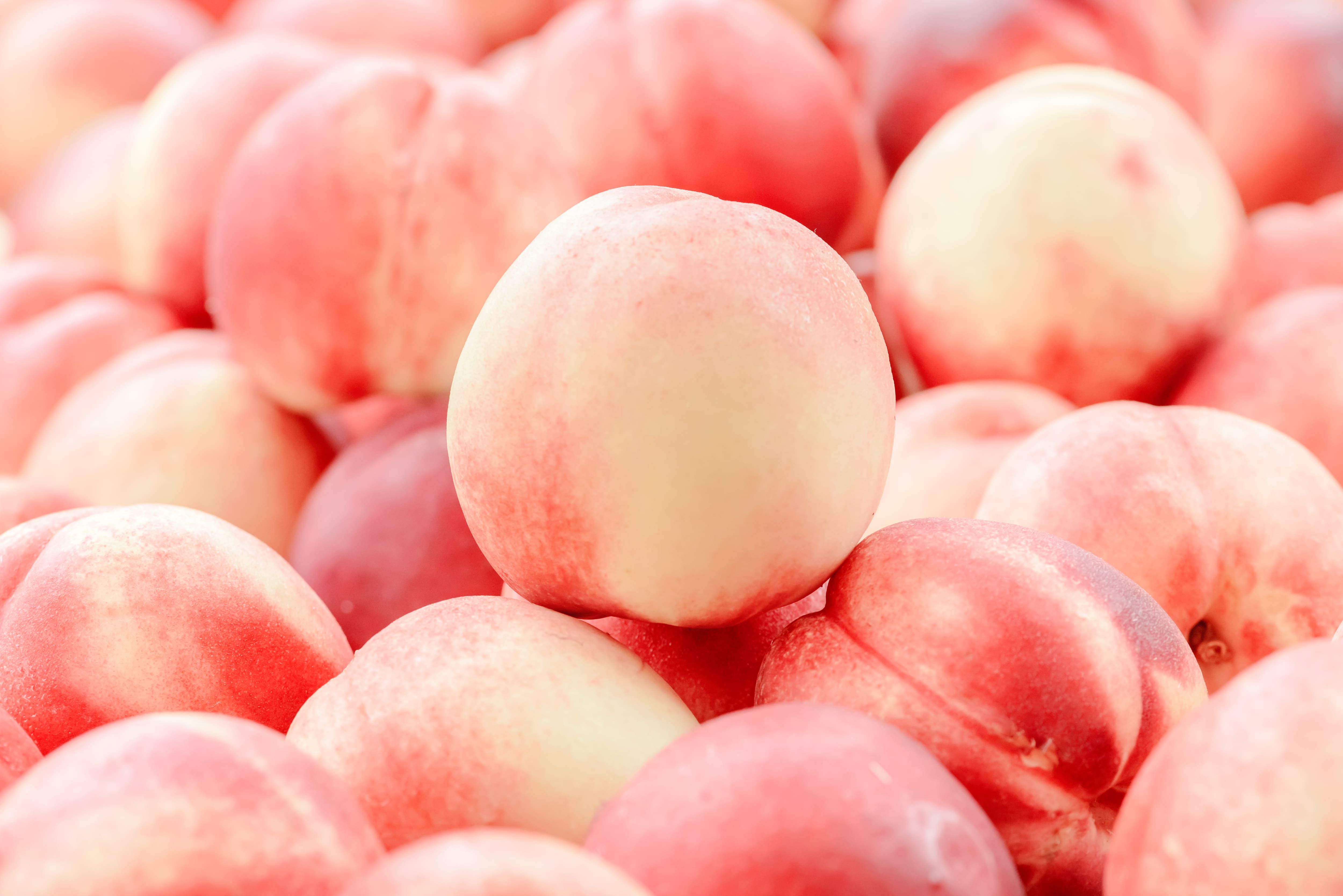 Mehrere weiße Pfirsiche mit zart roséfarbener Schale, einer prominent in der Mitte platziert.