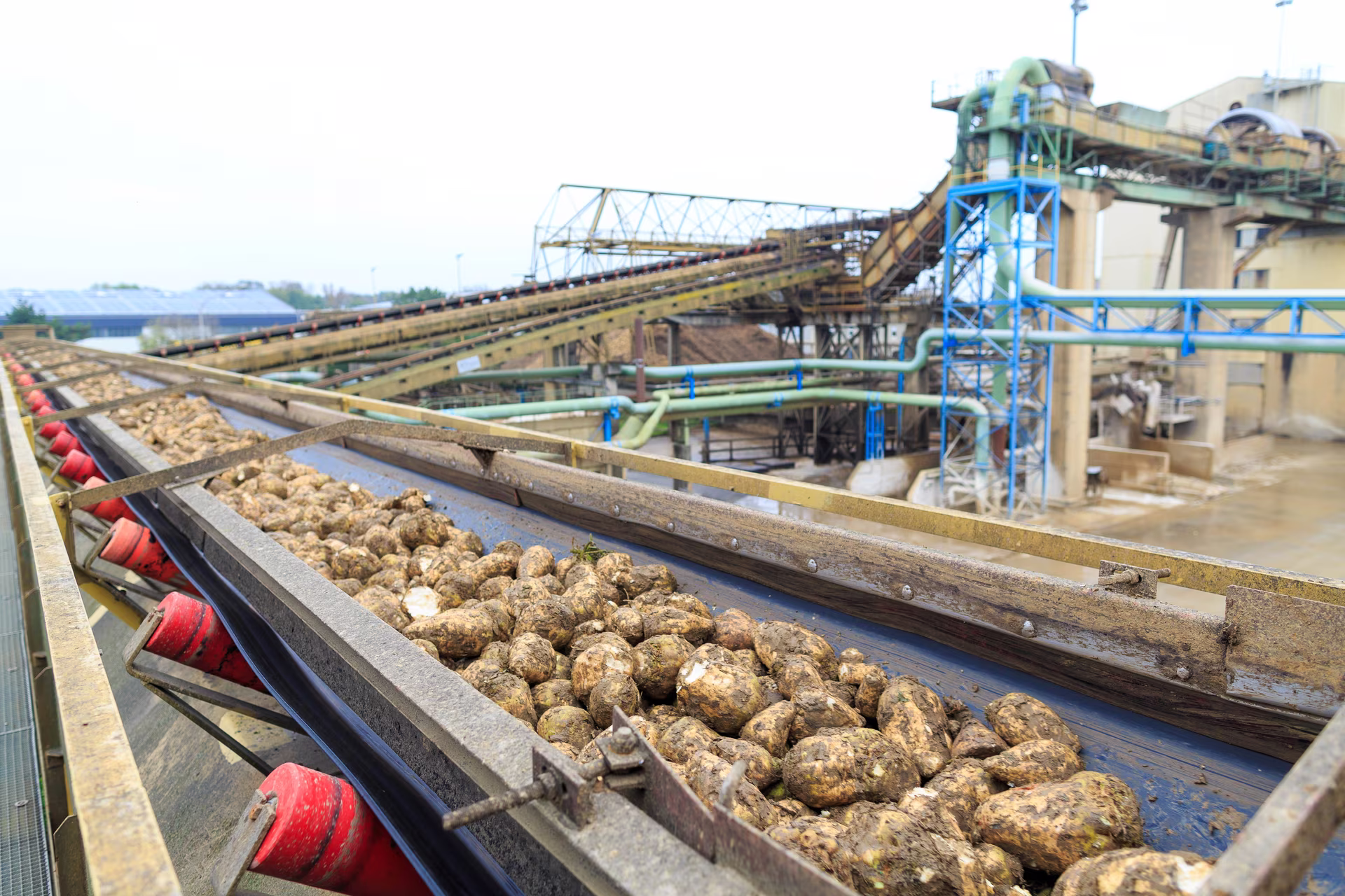 AGRANA: autumn campaign 2025 fully under way