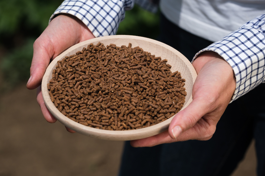 Hände halten eine Holzschale mit braunen BioAgenasol-Düngerpellets auf einem Feld [no AI]
