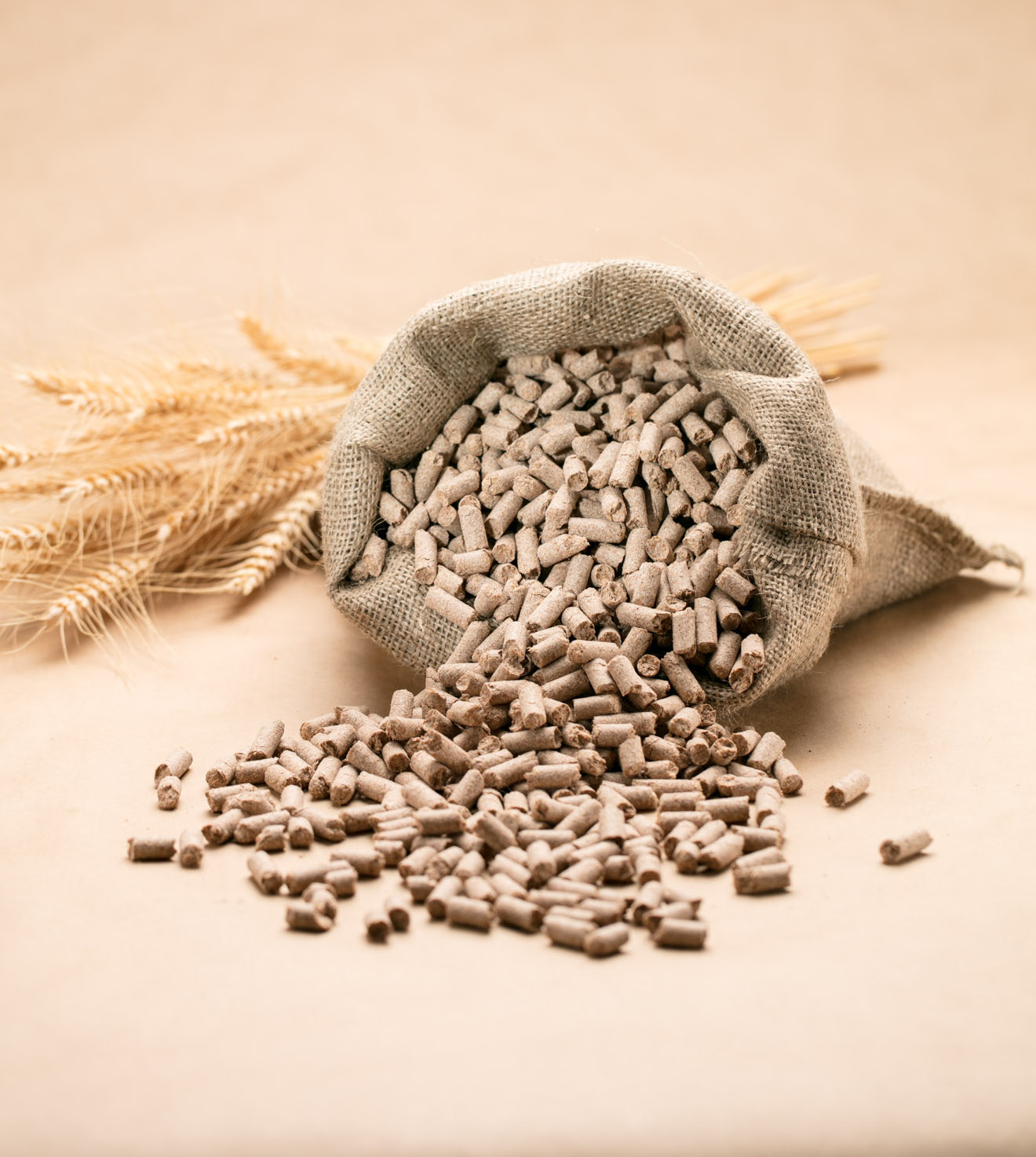 Weizenkleie-Futterpellets fallen aus einem Jutesack, daneben Weizenähren