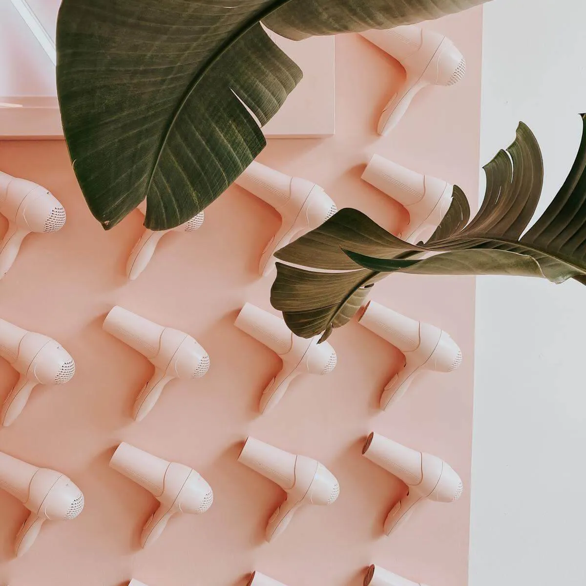 green leaves on peach surface with hanging blower design