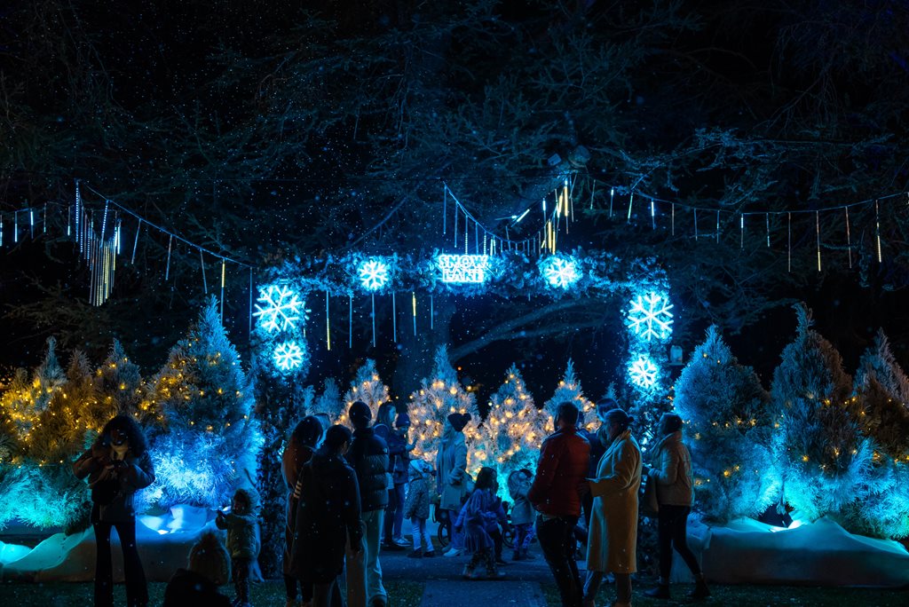 snow lane at the rocks with french food, art shows and live music