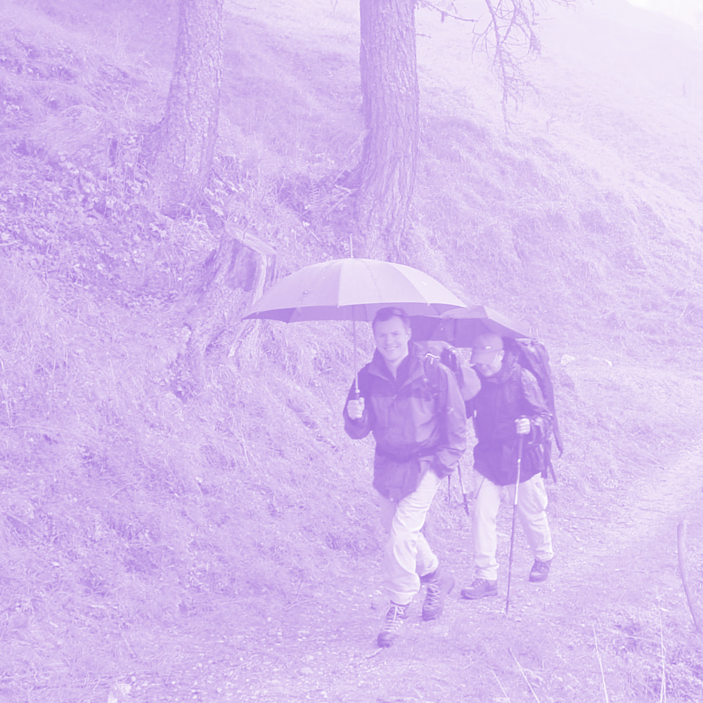 Two hikers walking on a forest trail, each holding an umbrella and wearing backpacks.