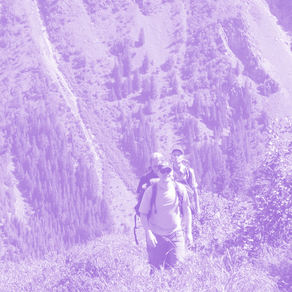 Three hikers walking on a grassy trail with backpacks in a mountainous forest landscape.