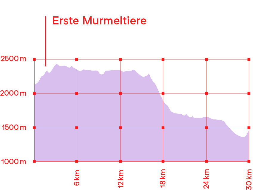 Höhenprofil Wanderung