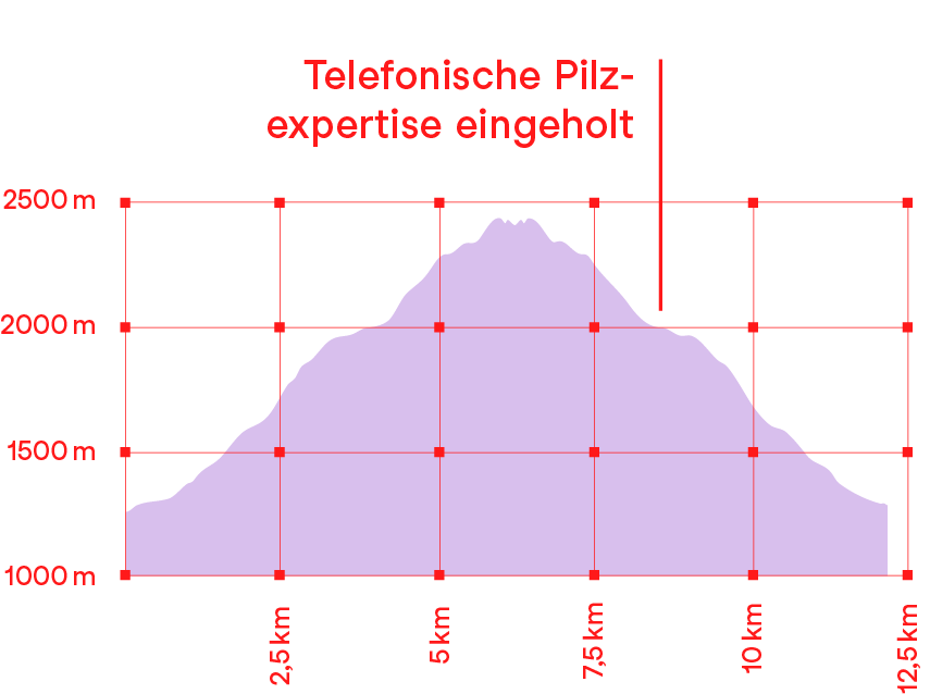 Höhenprofil Wanderung