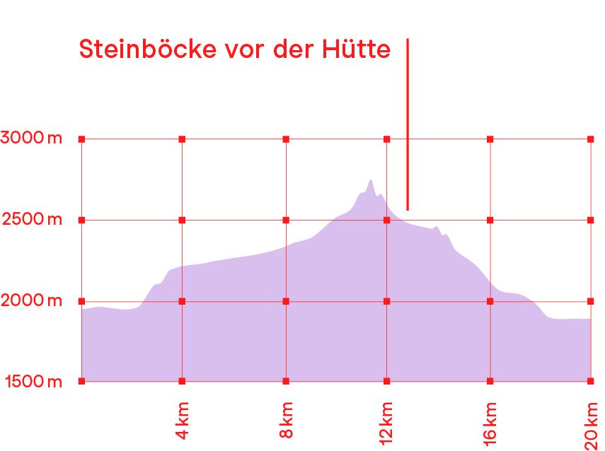 Höhenprofil Wanderung