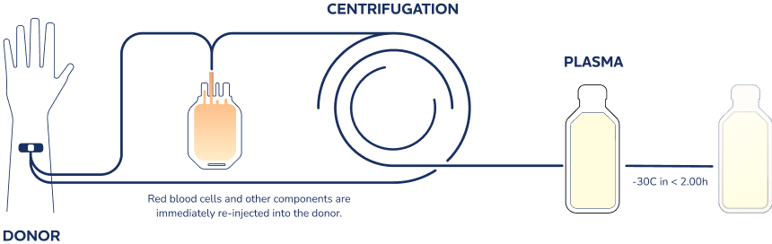 plasma collection process