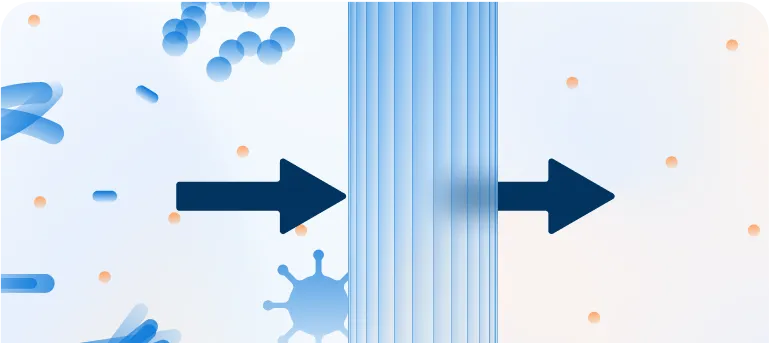 illustration of the first type of safeguard measure, which is Testing for Pathogens