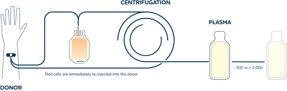 Plasma manufacturing process