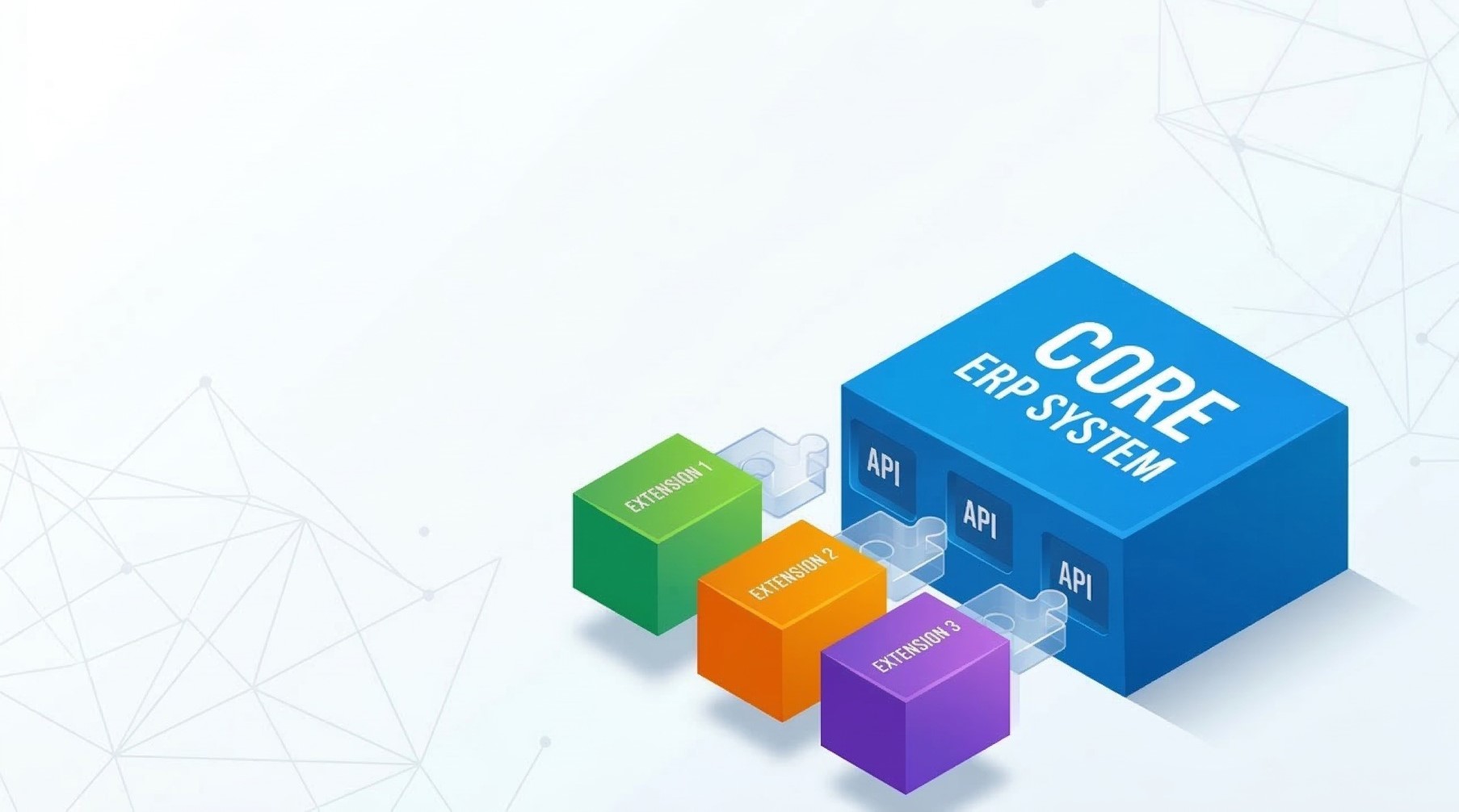 ERP Software Pricing